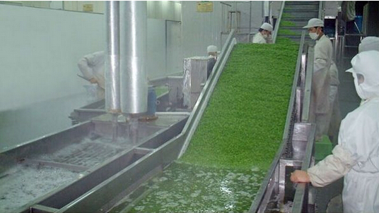 蔬菜清洗機(jī)市場(chǎng)需求高速增長(zhǎng) 未來(lái)節(jié)水還要去農(nóng)殘