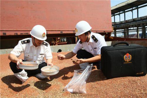 進(jìn)出口糧食檢疫嚴(yán)把控 新辦法7月份正式執(zhí)行