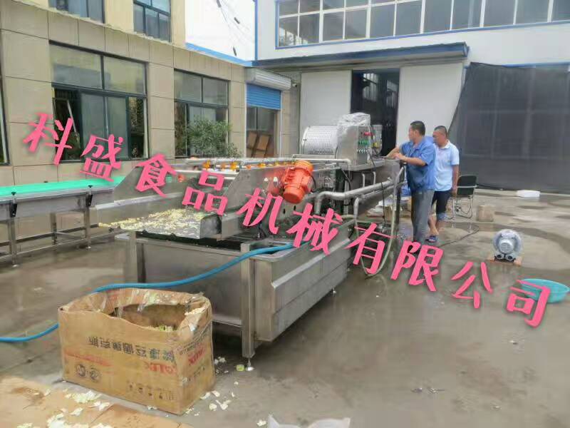 諸城科盛 大米渦流震動清洗機生產廠家 青菜漂燙機價格