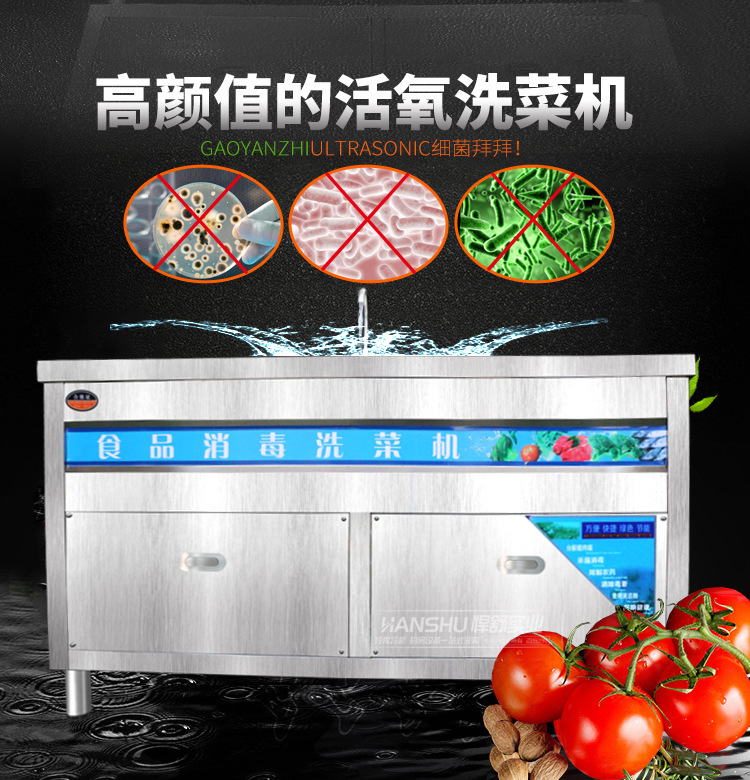悍舒商用臭氧氣泡消毒洗菜機 果蔬清洗機 商用全自動洗菜設(shè)備
