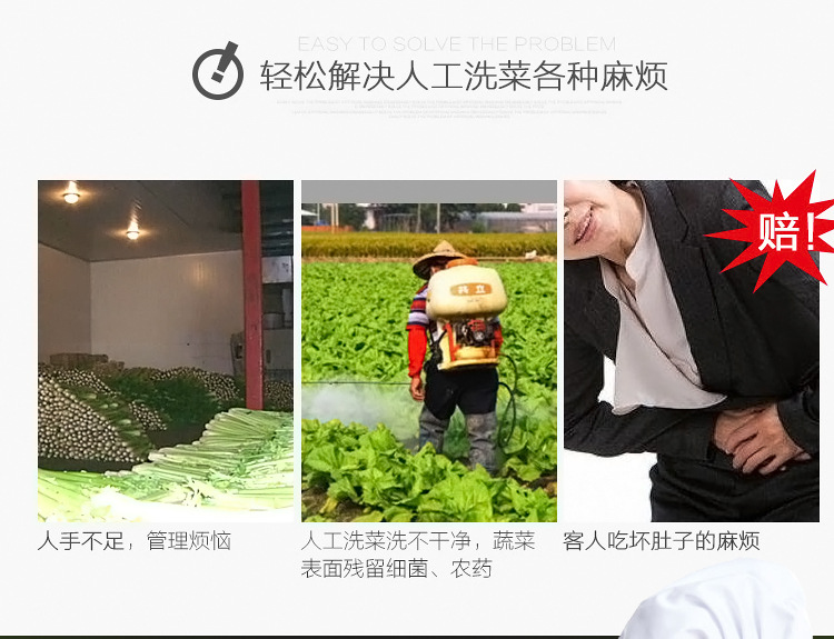 悍舒商用臭氧氣泡消毒洗菜機 果蔬清洗機 商用全自動洗菜設(shè)備