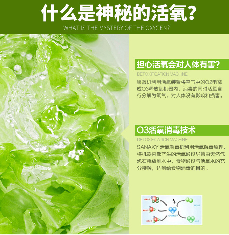 悍舒商用臭氧氣泡消毒洗菜機 果蔬清洗機 商用全自動洗菜設(shè)備