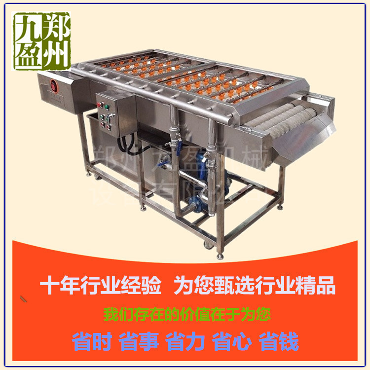 廠家批發(fā) 臭氧自動(dòng)翻轉(zhuǎn)洗菜機(jī) 商用連續(xù)式洗菜機(jī) 毛刷去雜清洗