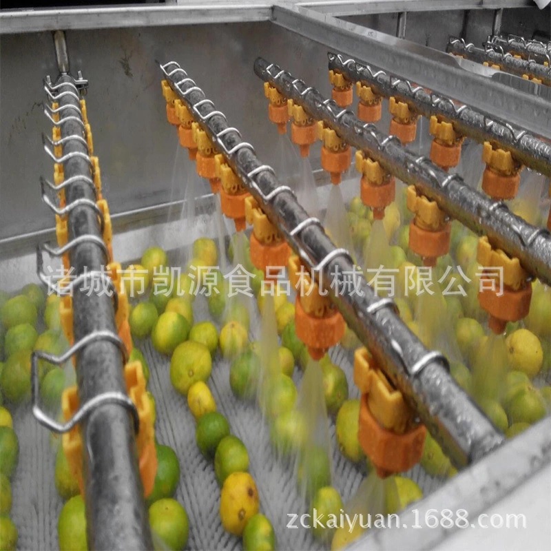 新鮮蔬菜清洗機/全自動氣泡清洗機/高效果蔬清洗/大型商用洗菜機