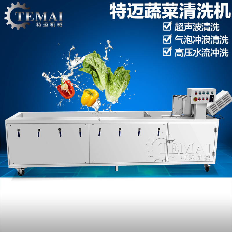 廠家直銷全自動(dòng)洗菜機(jī) 商用酒店食堂臭氧洗菜機(jī)