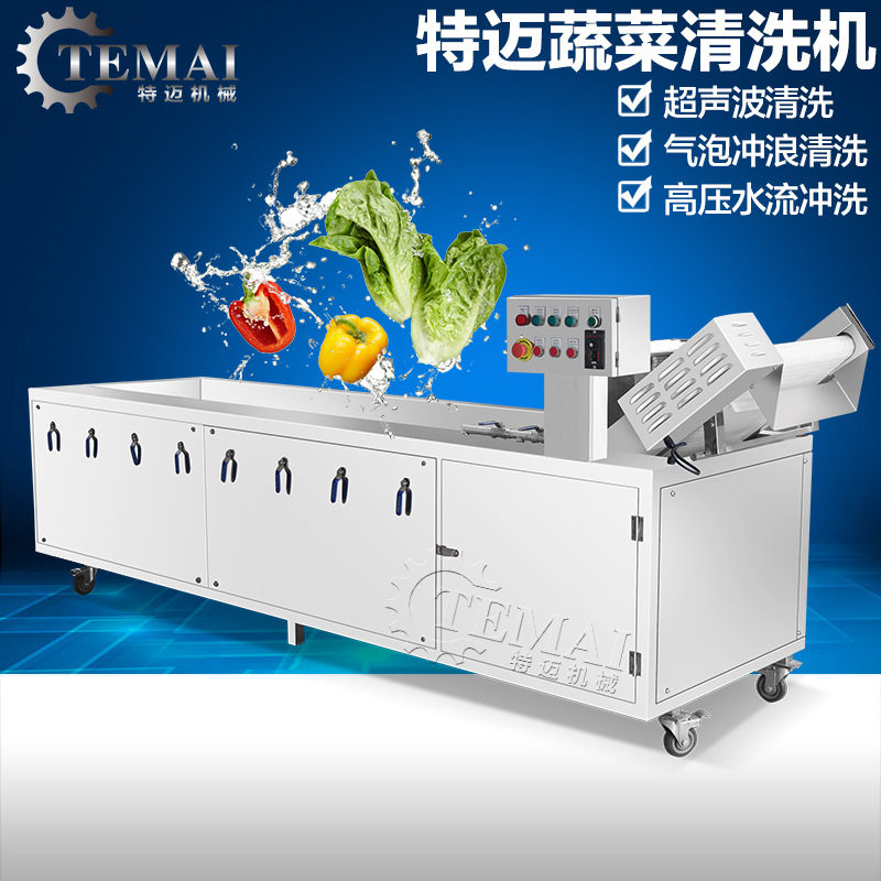 廠家直銷全自動(dòng)洗菜機(jī) 商用酒店食堂臭氧洗菜機(jī)