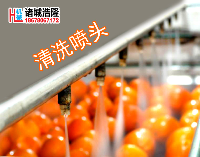 水果清洗機(jī)4副本