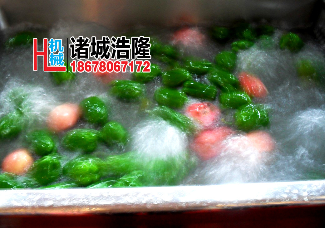 果蔬清洗機(jī) 酒店自動(dòng)輸送蔬菜清洗機(jī) 商用超聲波洗菜機(jī)
