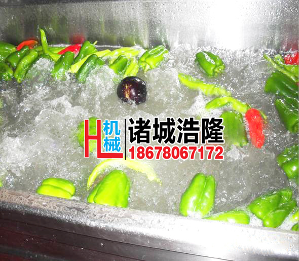 果蔬清洗機(jī) 酒店自動(dòng)輸送蔬菜清洗機(jī) 商用超聲波洗菜機(jī)