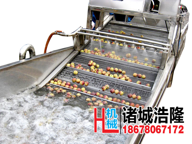 果蔬清洗機(jī) 酒店自動(dòng)輸送蔬菜清洗機(jī) 商用超聲波洗菜機(jī)