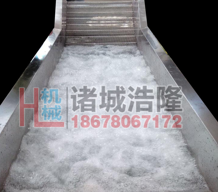 水果清洗機(jī)10副本