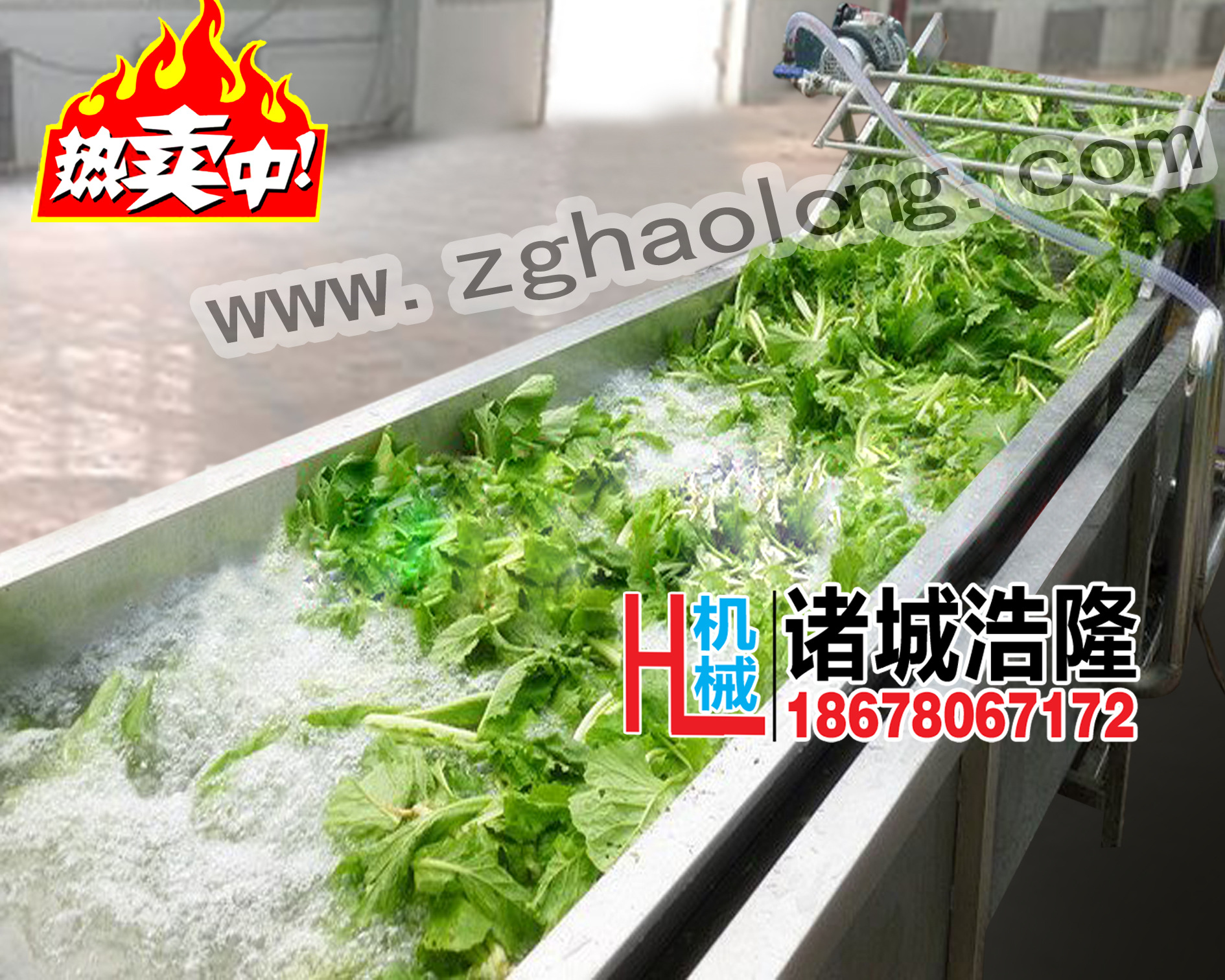 水果清洗機(jī)副本