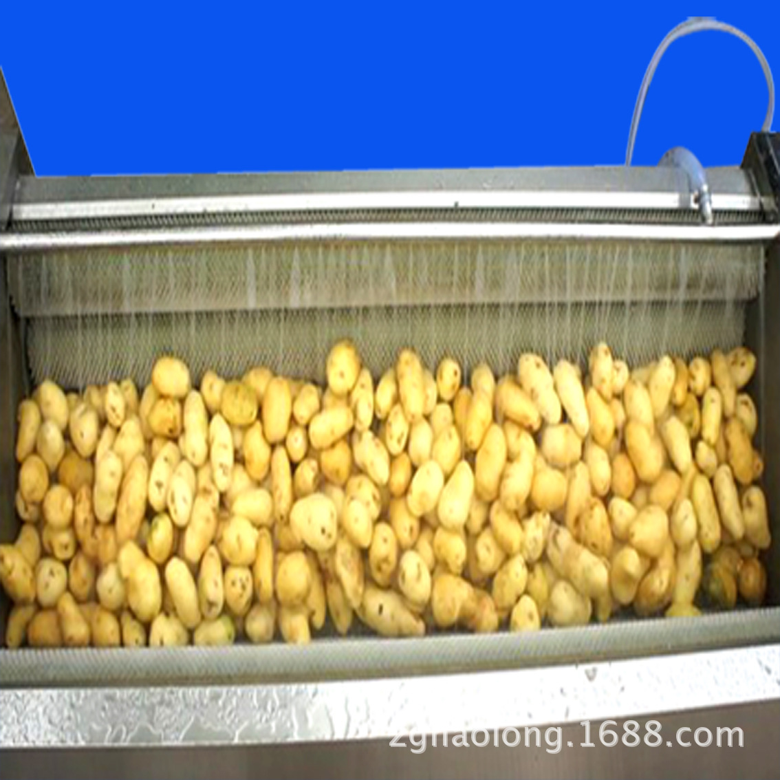 果蔬清洗機(jī) 酒店自動(dòng)輸送蔬菜清洗機(jī) 商用超聲波洗菜機(jī)