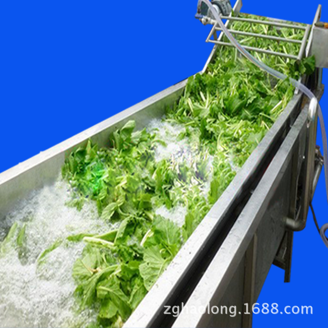 果蔬清洗機(jī) 酒店自動(dòng)輸送蔬菜清洗機(jī) 商用超聲波洗菜機(jī)