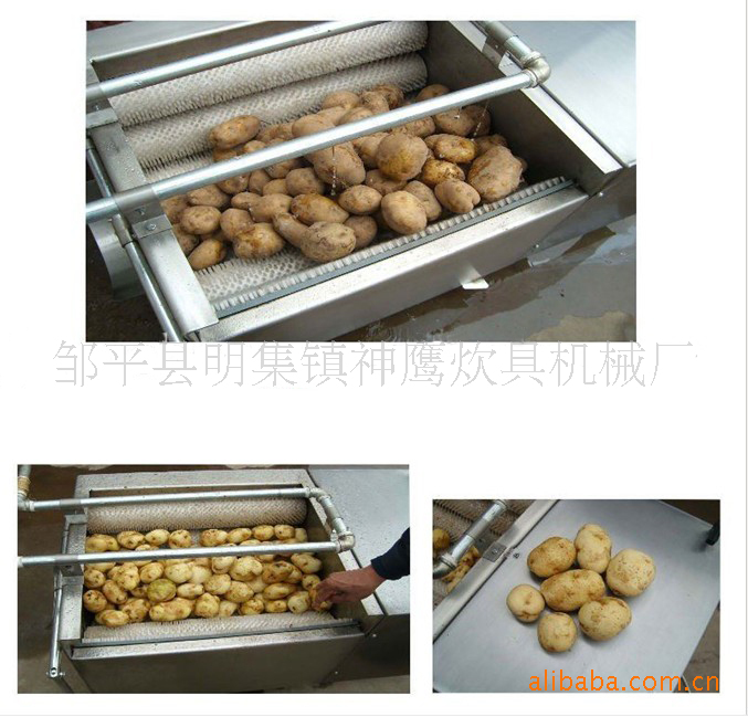 供應 神鷹商用洗菜機（CX100）大型食堂洗菜機 蓮藕清洗脫皮機