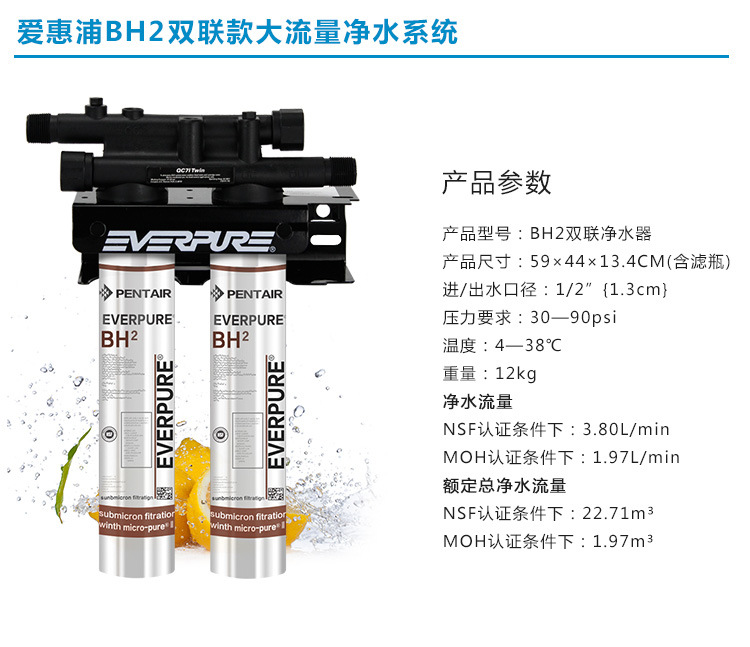 美國進口愛惠浦（Everpure）BH2 雙聯(lián)凈水器 過濾系統(tǒng) 商用