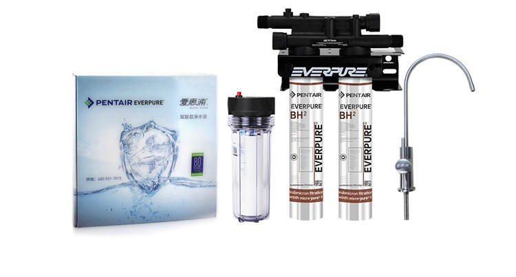 美國進口愛惠浦（Everpure）BH2 雙聯(lián)凈水器 過濾系統(tǒng) 商用