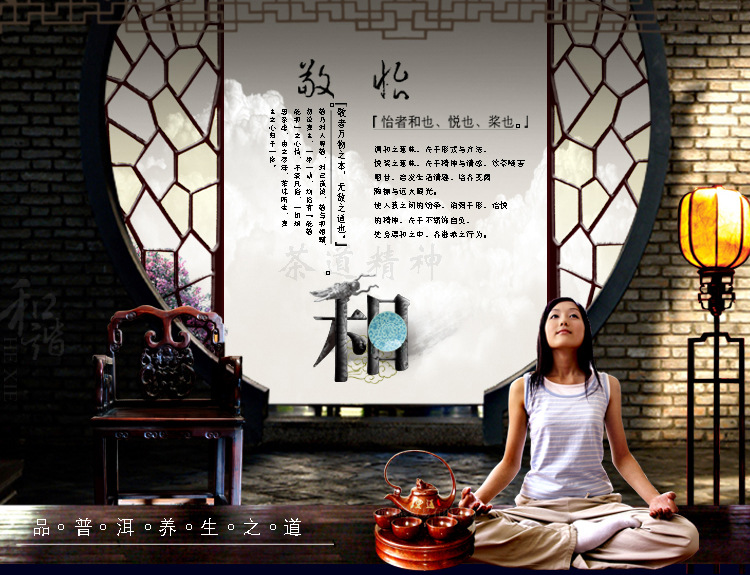 家用商用箱式蘋(píng)果6代凈水器RO反滲透純水機(jī)直飲機(jī)過(guò)濾器整機(jī)散件