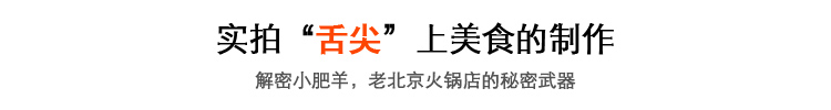 羊肉切片機(jī) 手動(dòng)家用商用切肉機(jī) 切肥牛片羊肉卷土豆絲刨肉機(jī)