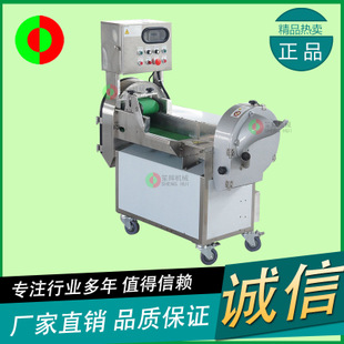 笙輝廠家直銷多功能葉菜瓜果洗菜機(jī)商用臭氧殺毒氣泡清洗洗菜機(jī)