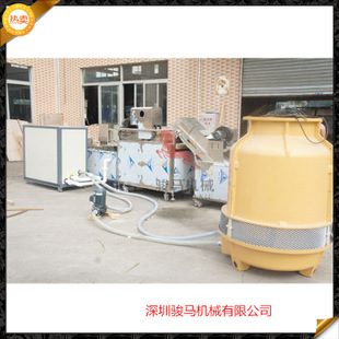 商用臭氧果蔬解毒機(jī)/商用洗菜機(jī)/果蔬清毒機(jī)（可OEM） 性價比高