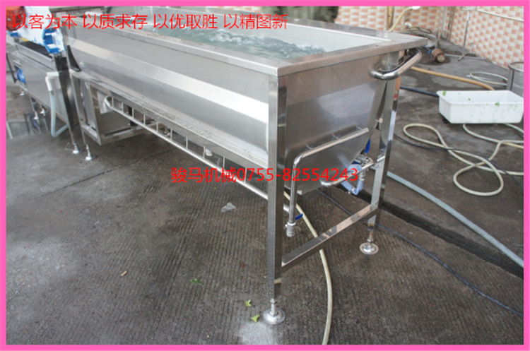 商用臭氧果蔬解毒機(jī)/商用洗菜機(jī)/果蔬清毒機(jī)（可OEM） 性價比高