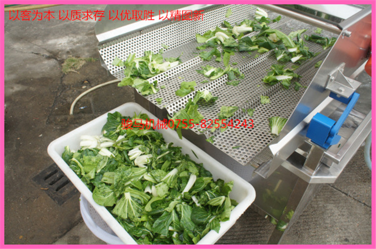 商用臭氧果蔬解毒機(jī)/商用洗菜機(jī)/果蔬清毒機(jī)（可OEM） 性價比高