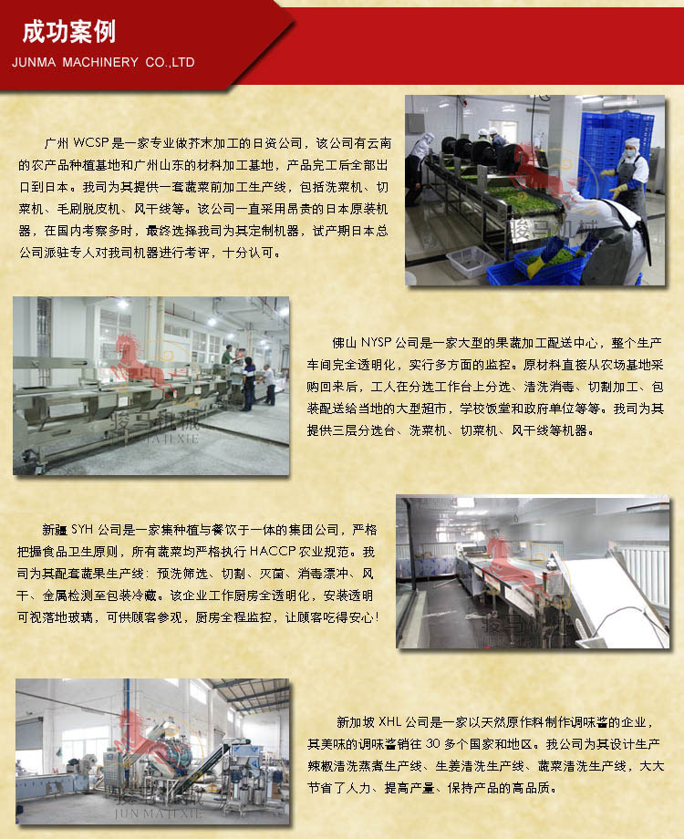 商用臭氧果蔬解毒機(jī)/商用洗菜機(jī)/果蔬清毒機(jī)（可OEM） 性價比高