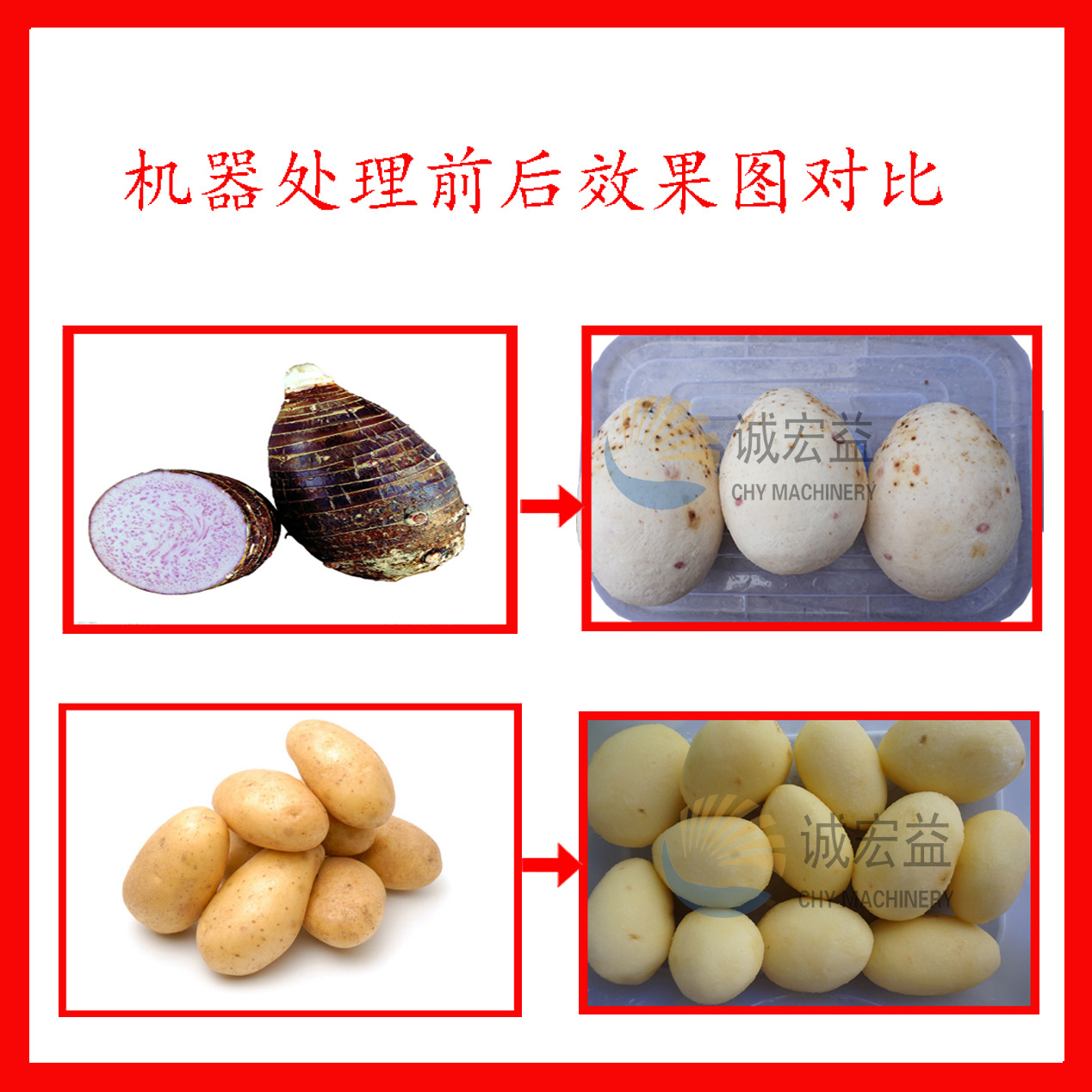 商用芋頭/土豆去皮機(jī) 濕法脫皮機(jī) 廠家供應(yīng)