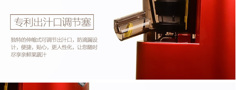 SAVTM/獅威特商用大口徑多功能榨汁機 攪拌果汁機低速原汁機批發(fā)