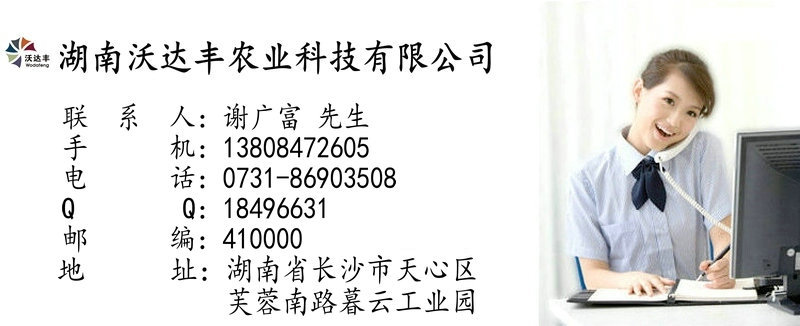 批發(fā)生產(chǎn) 家用食品水果烘干機(jī)烘干設(shè)備 海帶商用食品烘干機(jī)