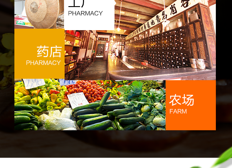 廠家直營(yíng)商用食品烘干機(jī)藥材五谷雜糧食物烘干箱水果蔬菜烘干商用