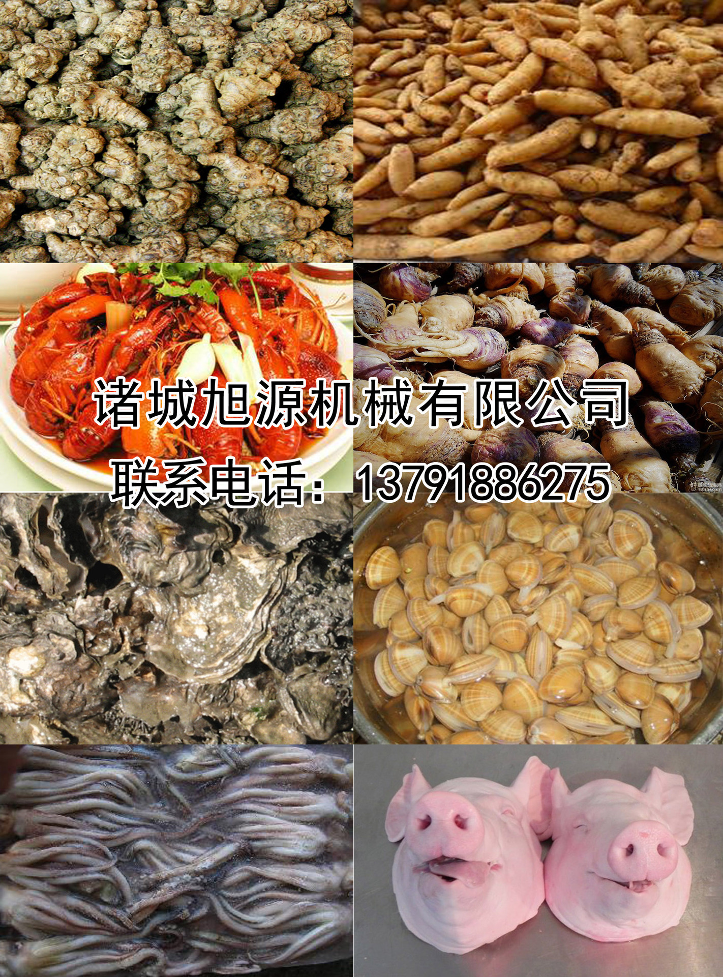 全自動香腸臘腸煙熏爐 不銹鋼肉食煙熏爐 商用節(jié)能燒雞煙熏爐