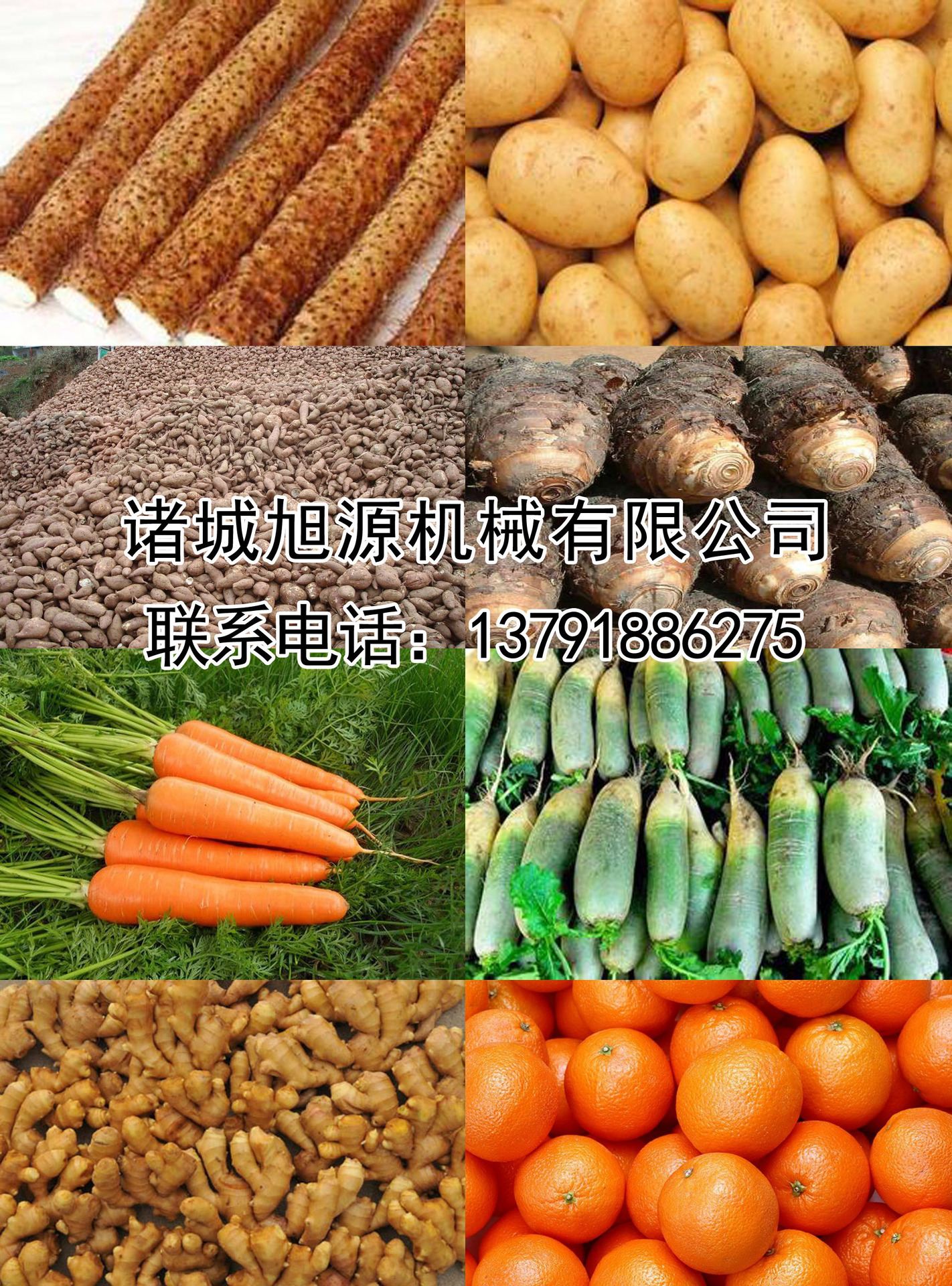 全自動香腸臘腸煙熏爐 不銹鋼肉食煙熏爐 商用節(jié)能燒雞煙熏爐
