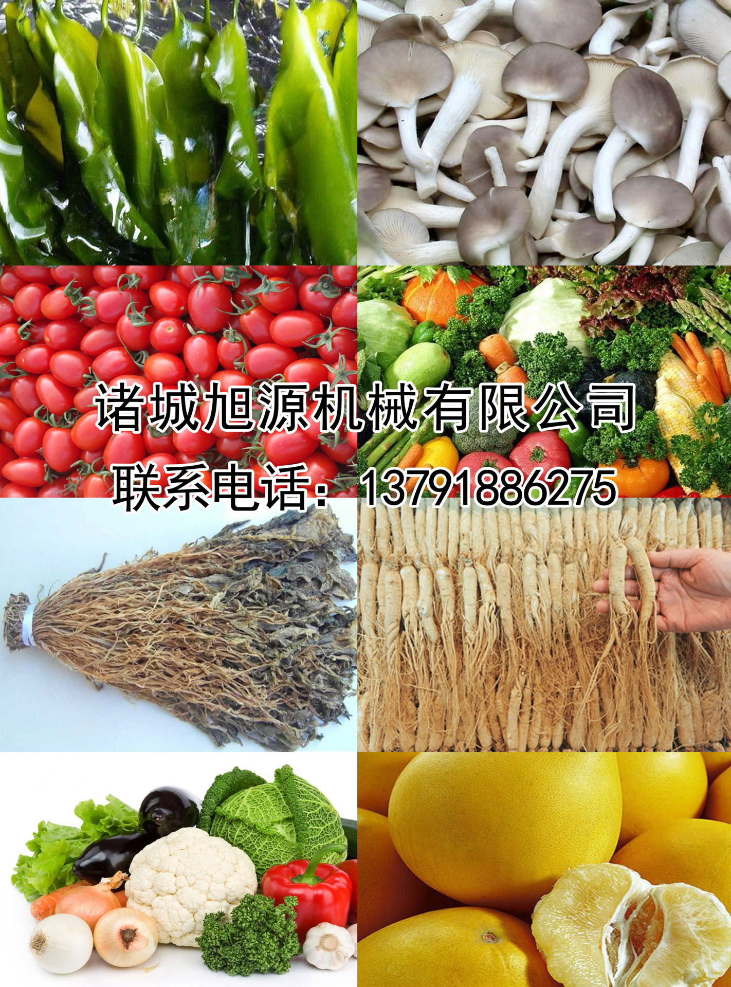 全自動香腸臘腸煙熏爐 不銹鋼肉食煙熏爐 商用節(jié)能燒雞煙熏爐