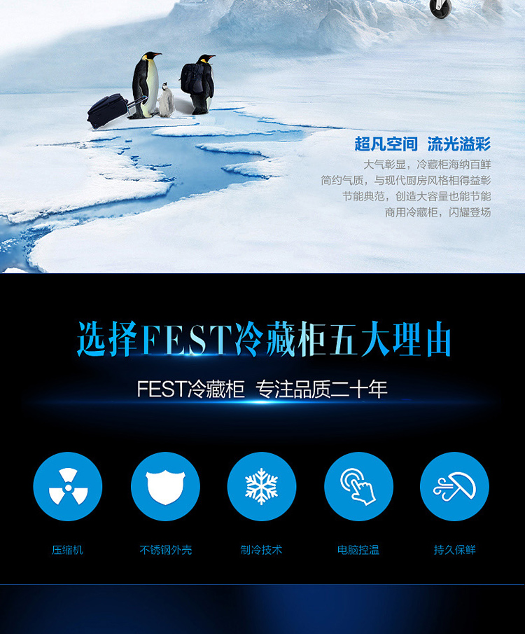 FEST六門冰箱六門冷柜冰柜商用雙機(jī)雙溫立式冷藏冷凍廚房冰箱銅管