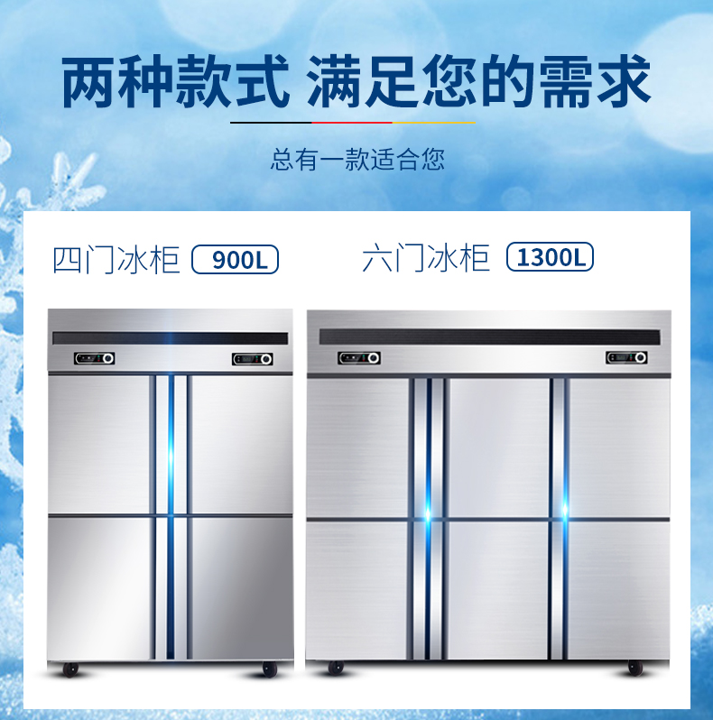德瑪仕商用立式六門(mén)冰柜商用六門(mén)立式 展示柜 BCD-1300A 全冷凍