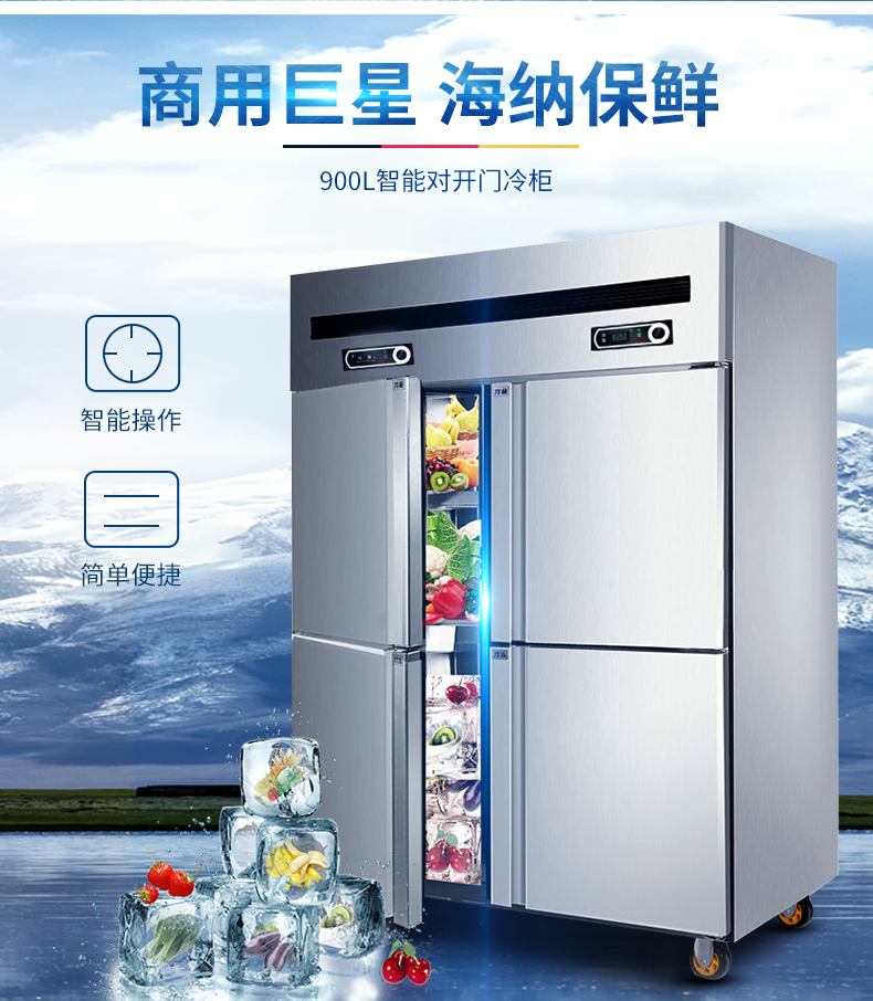 德瑪仕商用立式六門(mén)冰柜商用六門(mén)立式 展示柜 BCD-1300A 全冷凍