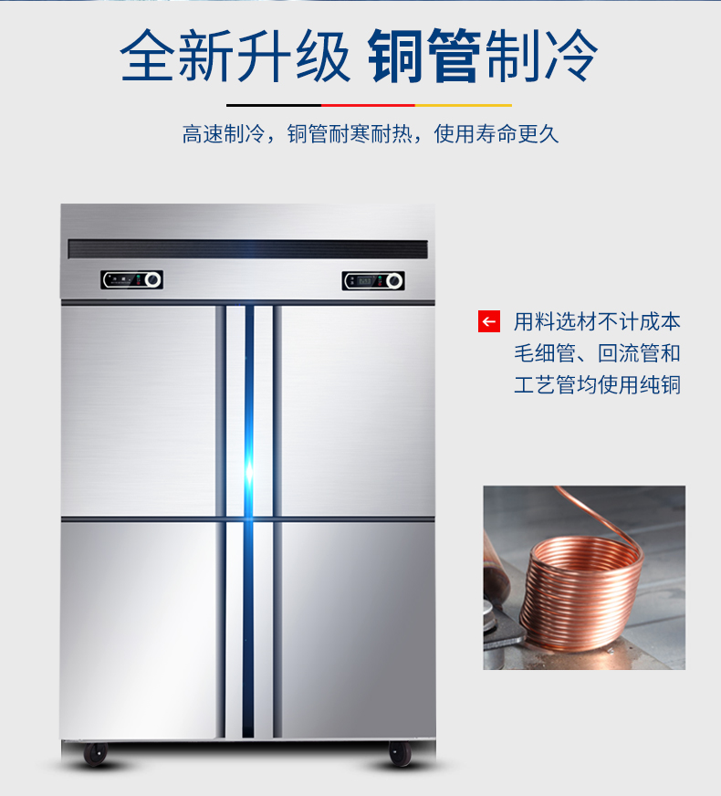 德瑪仕商用立式六門(mén)冰柜商用六門(mén)立式 展示柜 BCD-1300A 全冷凍