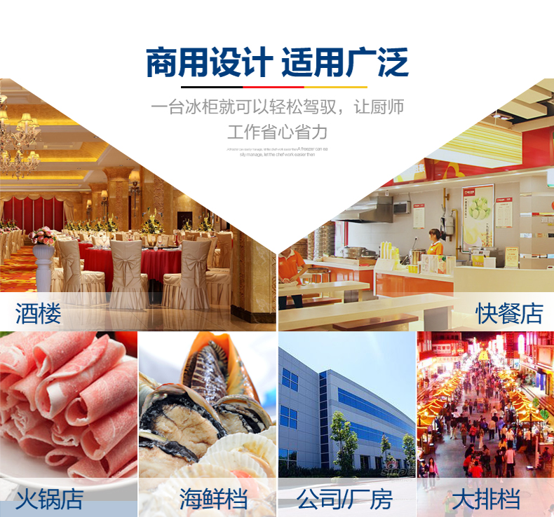 德瑪仕商用立式六門(mén)冰柜商用六門(mén)立式 展示柜 BCD-1300A 全冷凍
