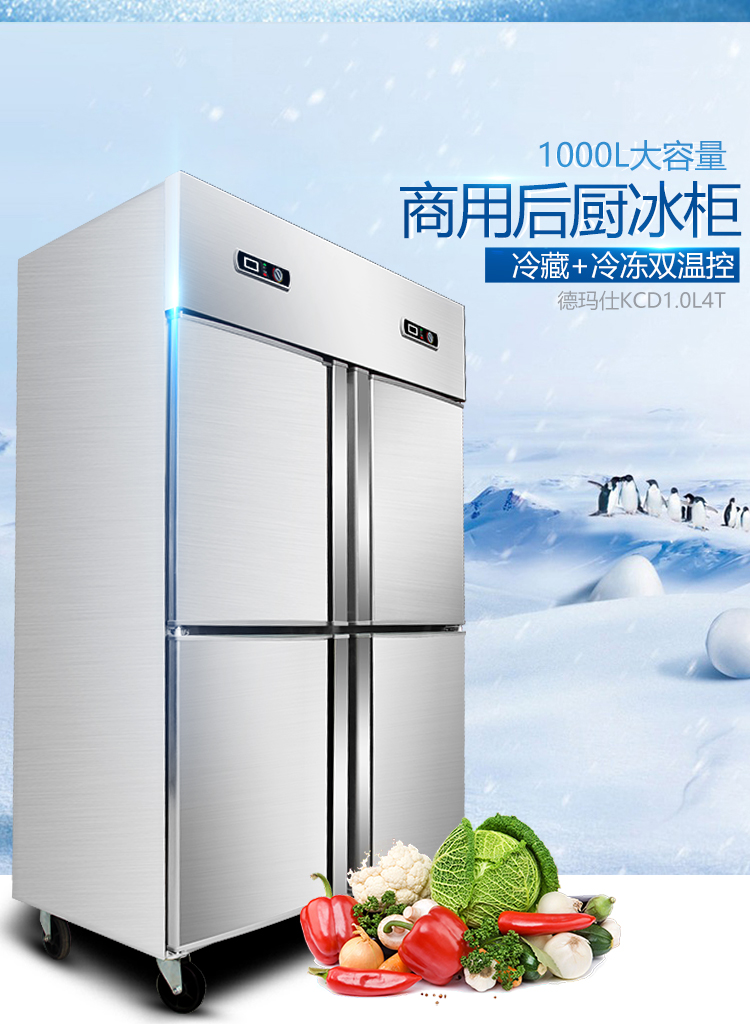 德瑪仕商用立式六門(mén)冰柜商用六門(mén)立式 展示柜 BCD-1300A 全冷凍
