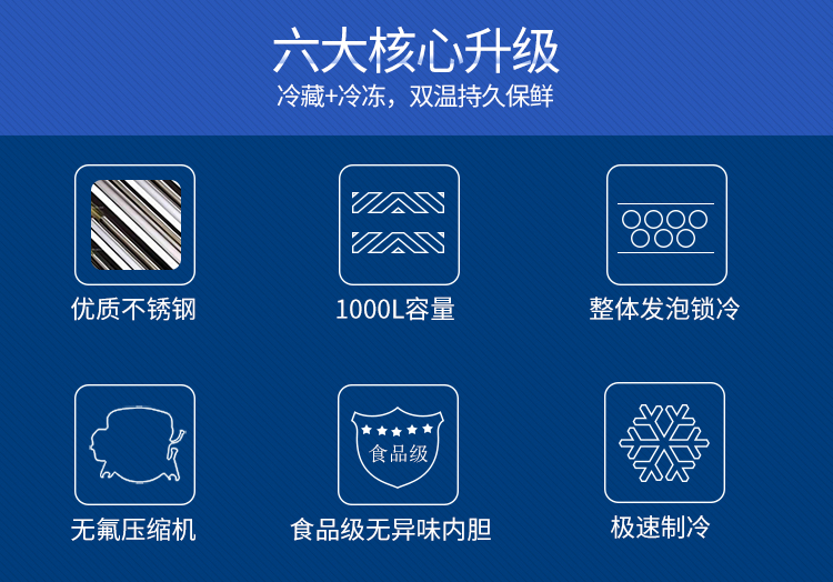 德瑪仕商用立式六門(mén)冰柜商用六門(mén)立式 展示柜 BCD-1300A 全冷凍