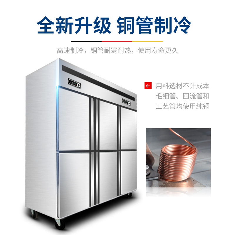 德瑪仕商用立式六門(mén)冰柜商用六門(mén)立式 展示柜 BCD-1300A 全冷凍