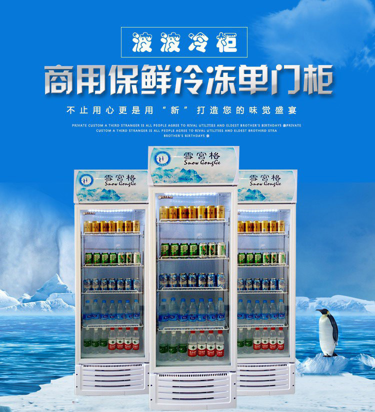雪展示柜冷藏柜立式商用飲料冰箱啤酒飲品水果保鮮柜飲料柜單門(mén)