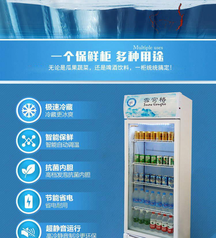 雪展示柜冷藏柜立式商用飲料冰箱啤酒飲品水果保鮮柜飲料柜單門(mén)