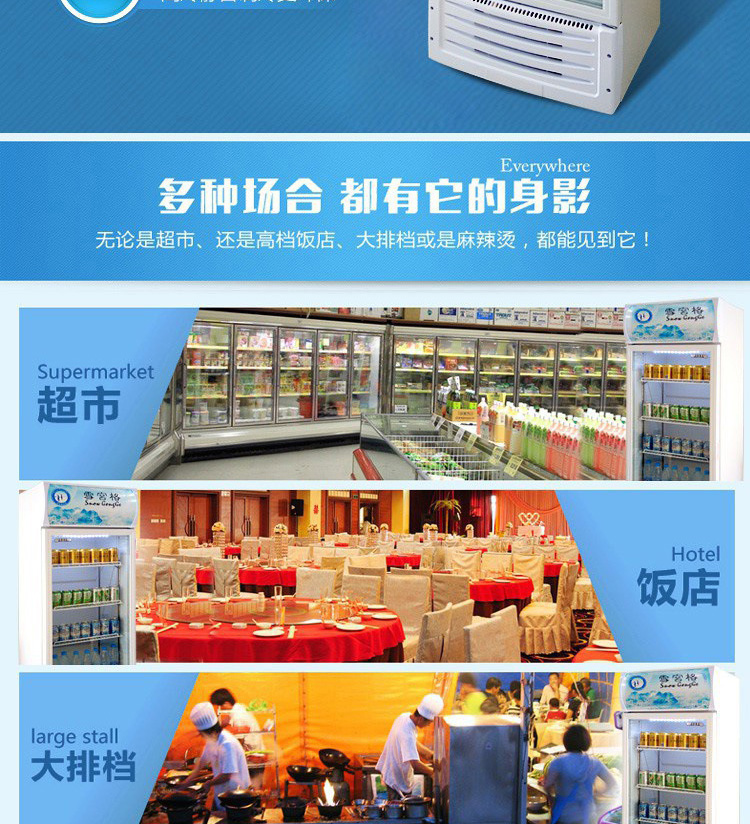 雪展示柜冷藏柜立式商用飲料冰箱啤酒飲品水果保鮮柜飲料柜單門(mén)