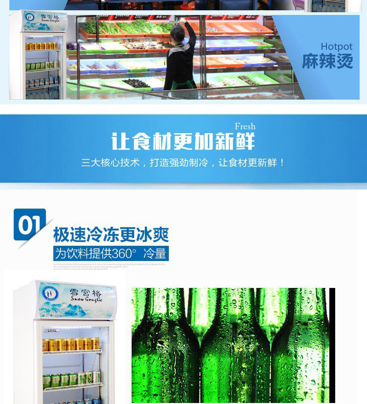 雪展示柜冷藏柜立式商用飲料冰箱啤酒飲品水果保鮮柜飲料柜單門(mén)