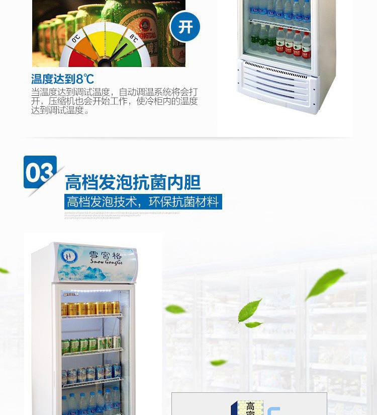 雪展示柜冷藏柜立式商用飲料冰箱啤酒飲品水果保鮮柜飲料柜單門(mén)