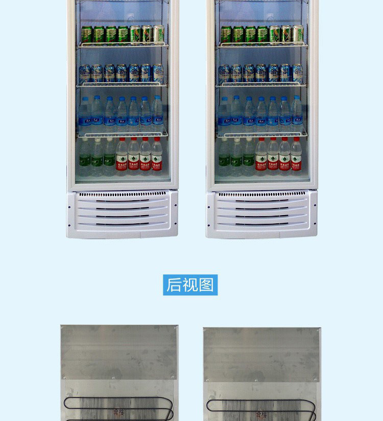 雪展示柜冷藏柜立式商用飲料冰箱啤酒飲品水果保鮮柜飲料柜單門(mén)
