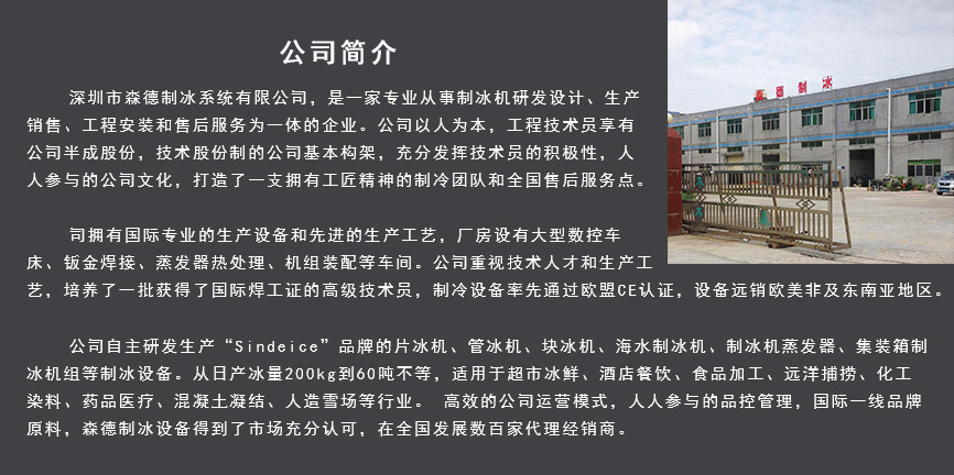 鹽水塊冰機生產(chǎn)廠家 全自動大型10噸冰塊機冰磚機 工業(yè)制冰機